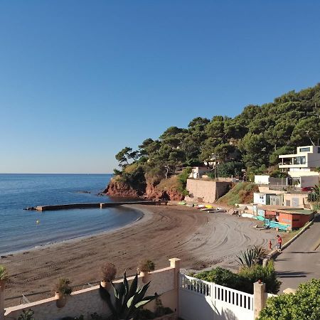 Loft Climatise "La Pinede", 50 M2, Tres Calme, 5 Mn A Pied Des Plages, Lit King Size La Seyne-sur-Mer Extérieur photo