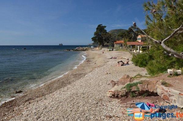 Loft Climatise "La Pinede", 50 M2, Tres Calme, 5 Mn A Pied Des Plages, Lit King Size La Seyne-sur-Mer Extérieur photo